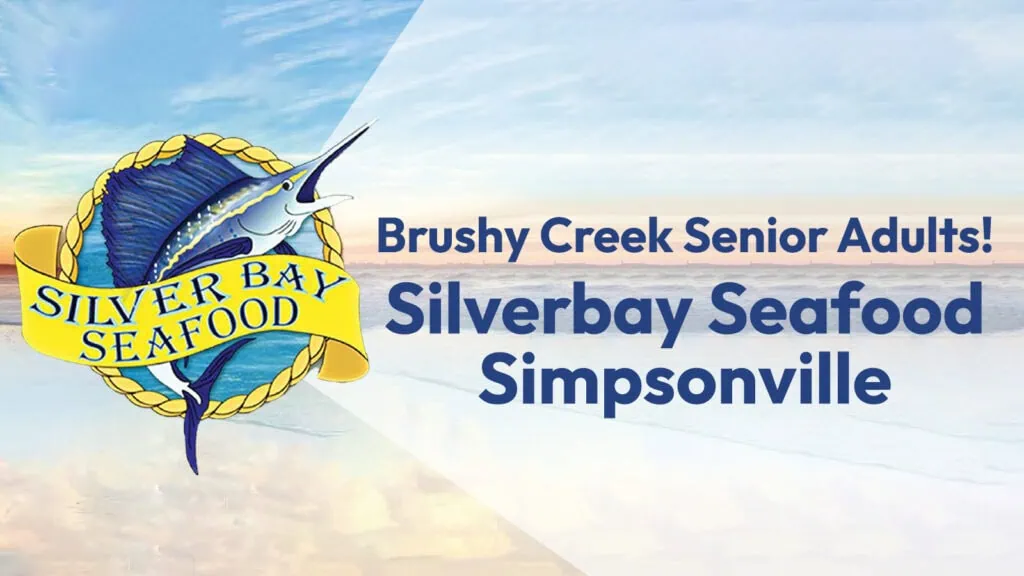 silver bay web email (1)