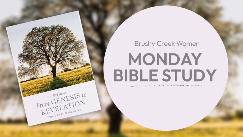 women, bible study, genesis, revelation, greenville